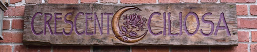 Crescent Ciliosa, hand-carved wooden sign